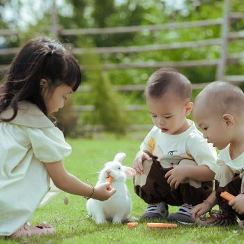 Trastorno Fonológico Infantil .